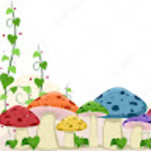 Meet your Posher, Mya